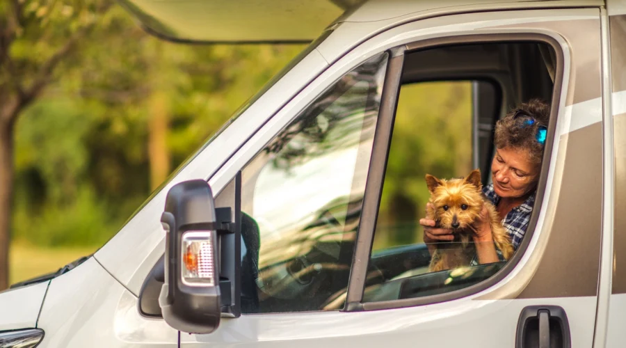 ¿Viajas con tu mascota?  Encuentra autocaravanas pet-friendly